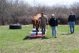 LR-WRF 0402026 Retreat-3402